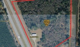 7821 Tallahassee Hwy 8.98+/- Acres, Attapulgus, GA 39815
