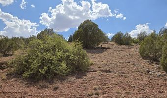 215 Off Cathedral Vly, Ash Fork, AZ 86320