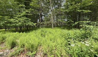 Dorshimer Ave, Blakeslee, PA 18610