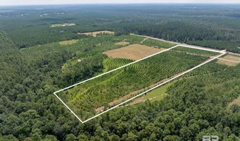 0 Horseneck Rd, Bay Minette, AL 36507