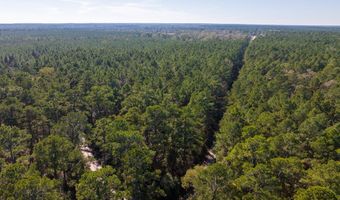 527 Forest Service Rd, Apple Springs, TX 75926