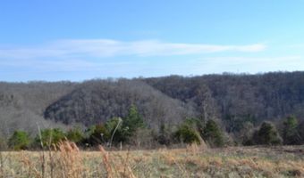 Lord Botetourt Court lot 13, Baxter, TN 38506