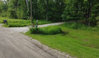 8301 Marathon Way, Alanson, MI 49706