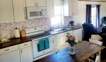 65 Sawmill Pl, Challis, ID 83226