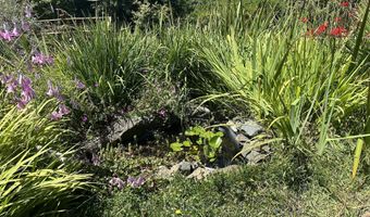 96422 ALDER RIDGE Rd, Brookings, OR 97415