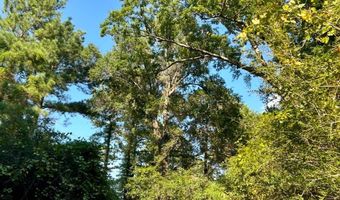 8645 Moores Mill Creek Rd, Baker, FL 32531