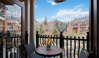 415 E Dean St Unit 24 Week 7, Aspen, CO 81611