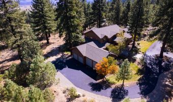 210 Sheridan Creek Ct, Gardnerville, NV 89460