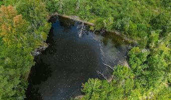 2778 SW Big Creek Dr, Bogue Chitto, MS 39629