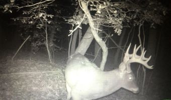 12823 LEWIS Rd, Berlin, MD 21811