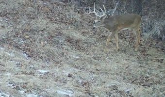 197 Th Trl, Albia, IA 52531