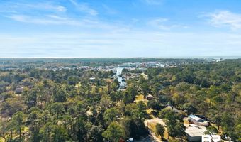 13545 Lyons Ave, Bayou La Batre, AL 36509