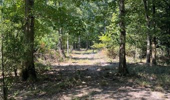 0 Nick Creek Rd, Bernice, LA 71222