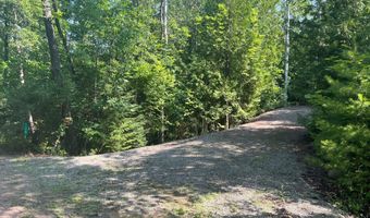 1170 Hanover Rd, Alpena, MI 49707