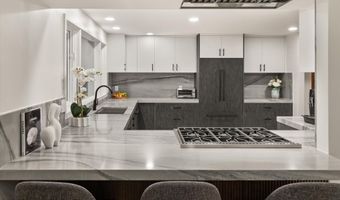 75 Bennett Ct, Aspen, CO 81611