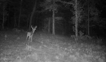 3968 Highway 167, Ash Flat, AR 72513