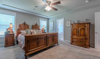 2091 Ferndale Cv, Alexander, AR 72002