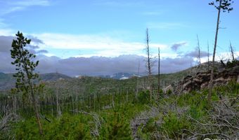 1256 Basking Dog Rd, Bellvue, CO 80512