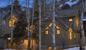 333 W Hopkins Ave, Aspen, CO 81611