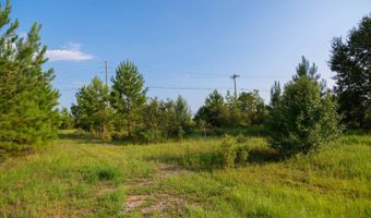 0 US Hwy 84 E, Andalusia, AL 36420