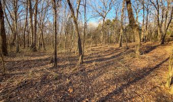 Farris Rd, Atoka, OK 74525