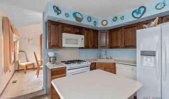 1124 N Anvil Ct, Addison, IL 60101