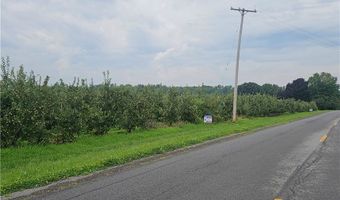 3120 Densmore Rd, Albion, NY 14411
