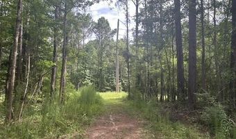 398 Wakefield Ln, Brookhaven, MS 39601