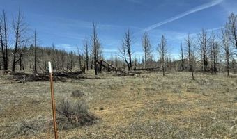 31763 Godowa Springs Rd, Beatty, OR 97621