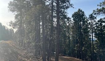 259 Hillside Cir, Bayfield, CO 81122