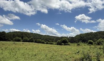 0 Newman Ln, Blaine, TN 37709