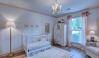385 Reuben Dr, Alexander, AR 72002