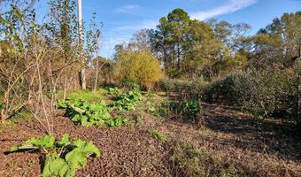 1541 Frank Hall Rd, Bolton, MS 39041