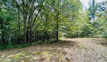 330 Blackgum, Batesville, MS 38606