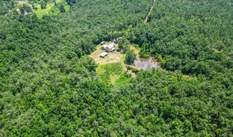 116 CR-106, Abbeville, MS 38601