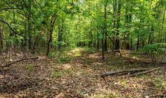 Cave Creek Road, Batesville, AR 72501