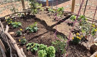 Raz Road lot 102, Ash Fork, AZ 86046