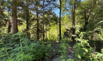 14155 NE 47TH Ave, Anthony, FL 32617