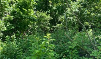Peach Ridge Rd, Athens, OH 45701