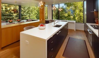 979 Red Mountain Rd, Aspen, CO 81611
