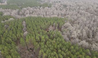 U.S. Highway 51, Bogue Chitto, MS 39629