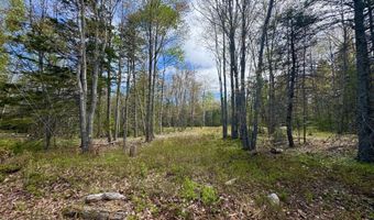Knox Road lot 79-01, Bar Harbor, ME 04609