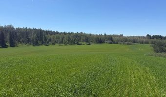 4935 E 900 N, Ashton, ID 83420