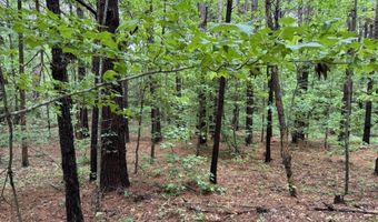 0020 Mount Carmel Rd, Bailey, MS 39320