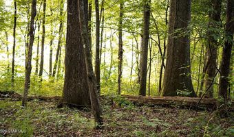 Cypress Pointe Drive lot 11, Brooksville, MS 39739