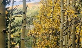 227 Roberts Rd, Alma, CO 80420