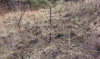 S Waller Rd, Bald Knob, AR 72010