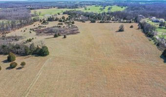6738 County Road 429, Ava, MO 65608