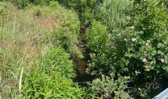 680-550 Butte Creek Rd, Adin, CA 96006