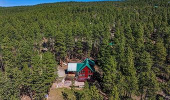 954 Pine Tree Dr, Bayfield, CO 81122
